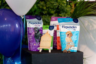 Illustration de l'article : Flexadin lance une gamme pour soutenir le bien-être articulaire de nos animaux de compagnie