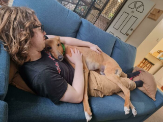 Illustration de l'article : 20 photos de chiens issus de refuges ou de la rue et qui savourent leur nouvelle vie après l'adoption