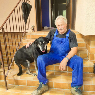 Illustration de l'article : 20 photos de chiens issus de refuges ou de la rue et qui savourent leur nouvelle vie après l'adoption