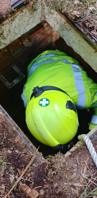 Illustration de l'article : Traumatisé après être resté coincé dans une bouche d’égout, ce chien reprend confiance et cherche aujourd’hui une famille pour la vie
