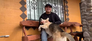 Illustration de l'article : Ce chien se présente de lui-même au commissariat de police, comme s’il voulait signaler sa propre disparition