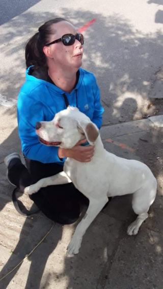 Illustration de l'article : Après avoir été retrouvé blessée par des piquants de porc-épic, cette petite chienne est à la recherche d’un nouveau foyer pour la vie