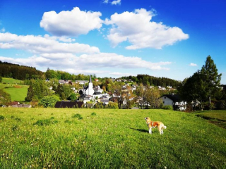 Illustration de l'article : 20 photos des plus beaux sites visités par Aiyuki, Akita Inu passionné de randonnée