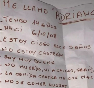 Illustration de l'article : Elle décide d’abandonner son Cocker Spaniel aveugle de 14 ans en le jetant dans le jardin d’un refuge 