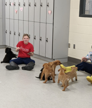 Illustration de l'article : Des étudiants secourent 19 chiots d'une ferme abandonnée grâce à une collaboration avec l'organisme de sauvetage animalier