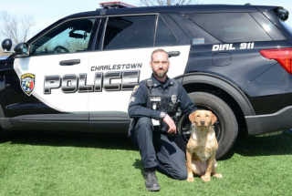 Illustration de l'article : Un Schnauzer nain évite la noyade grâce à l'intervention d'un officier de police