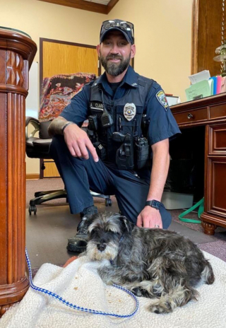 Illustration de l'article : Un Schnauzer nain évite la noyade grâce à l'intervention d'un officier de police