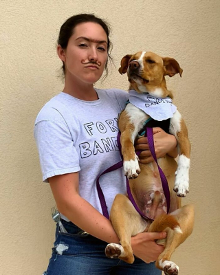 Illustration de l'article : 20 photos magnifiques de Camper, chien mordu d'aventures avec celle qui l'a sauvé de l'errance