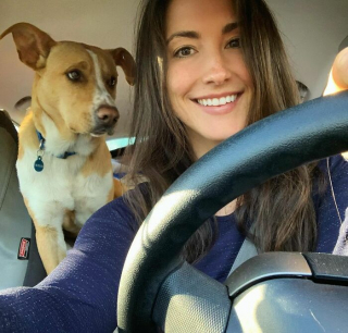 Illustration de l'article : 20 photos magnifiques de Camper, chien mordu d'aventures avec celle qui l'a sauvé de l'errance