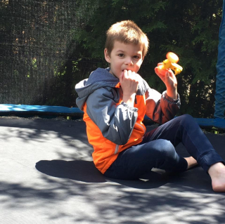 Illustration de l'article : Un groupe de secours aux animaux rejette l'adoption d'un chiot pour une famille en raison du handicap de leur enfant