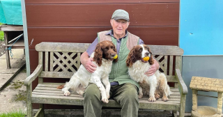 Illustration de l'article : Le calvaire d'un couple pour tenter de récupérer leur Epagneul volé et vendu sur les réseaux sociaux