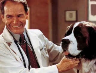 Illustration de l'article : 14 chiens stars des petit et grand écrans qui ont conquis nos cœurs