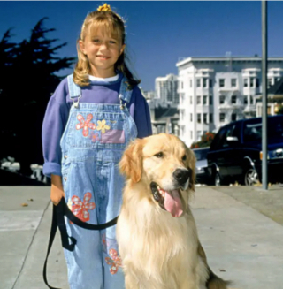 Illustration de l'article : 14 chiens stars des petit et grand écrans qui ont conquis nos cœurs