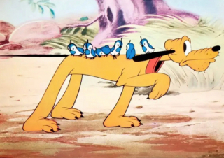 Illustration de l'article : 14 chiens stars des petit et grand écrans qui ont conquis nos cœurs