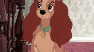 Illustration de l'article : 14 chiens stars des petit et grand écrans qui ont conquis nos cœurs