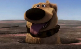 Illustration de l'article : 14 chiens stars des petit et grand écrans qui ont conquis nos cœurs