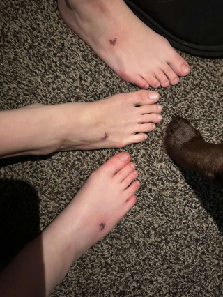 Illustration de l'article : Tous les membres d'une même famille trouvent un moyen émouvant d'honorer leur chien adoré