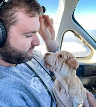 Illustration de l'article : 20 photos de chiens ridés qui assument leur beauté unique