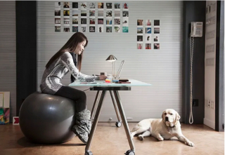 Illustration de l'article : 19 photos illustrant le bonheur des chiens accompagnant leurs maîtres au travail