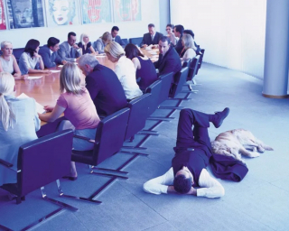 Illustration de l'article : 19 photos illustrant le bonheur des chiens accompagnant leurs maîtres au travail