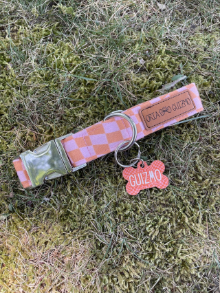 Illustration de l'article : Oria & Guizmo : identifiez votre animal de compagnie avec une médaille personnalisée pour seulement 6,90 €