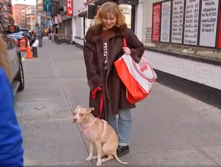 Illustration de l'article : Une femme adopte un chien par le biais d’une page Instagram dédiée au don d’objets