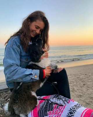 Illustration de l'article : 20 photos touchantes révélant l'amour inconditionnel des célébrités pour leurs chiens