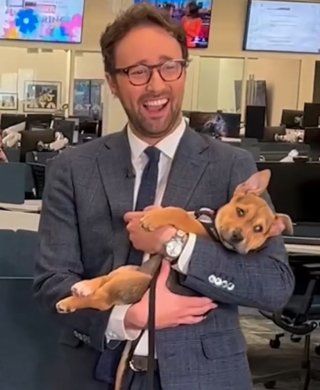 Illustration de l'article : En confiance, ce chiot s’est endormi à l’antenne, dans les bras d’un journaliste (vidéo)