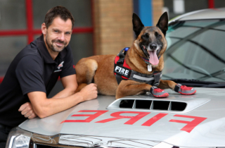 Illustration de l'article : Faites connaissance avec Giddy, la chienne de pompier au flair infaillible, entraînée pour retrouver les criminels pyromanes (vidéo)