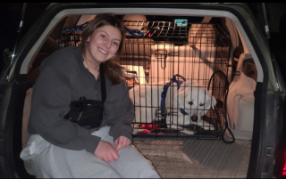 Illustration de l'article : Le retour triomphant de Kinnick : un chien rescapé des combats canins retrouvé après 246 jours