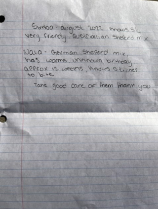 Illustration de l'article : Simba et Nala, 2 chiens abandonnés avec une note touchante, attendent leur nouvelle famille