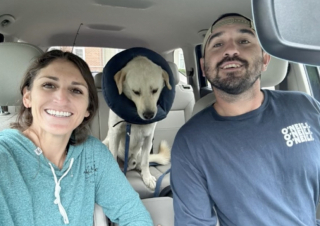 Illustration de l'article : Ce Labrador Retriever errant fait le bon choix, en se présentant devant la maison de cette famille (vidéo)