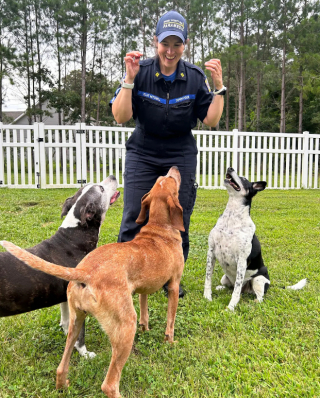 Illustration de l'article : Recueillie par un refuge pour Pitbulls, cette chienne a été ignorée pendant 11 ans 