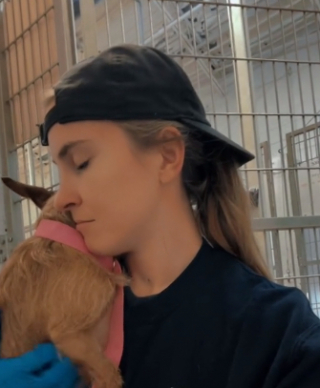 Illustration de l'article : Abandonné le matin même, ce petit chien terrorisé ne veut pas lâcher les bras de la jeune femme qui le rassure (vidéo)