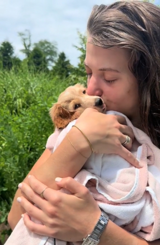 Illustration de l'article : Westley, le petit teckel qui découvre les joies de la piscine malgré ses peurs