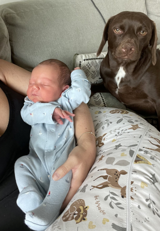 Illustration de l'article : Ce couple décide de laisser à leur chien le choix du prénom de leur futur enfant