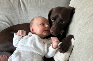 Illustration de l'article : Ce couple décide de laisser à leur chien le choix du prénom de leur futur enfant