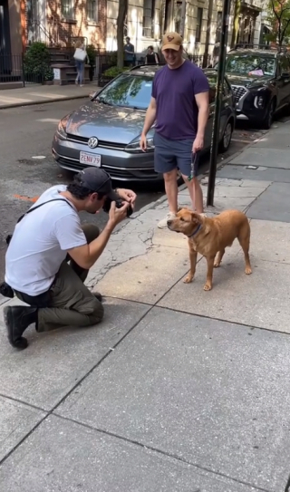 Illustration de l'article : Voici Lunchbox, le chien croisé Pitbull qui oublie les cicatrices du passé aux côtés de son maître (vidéo)