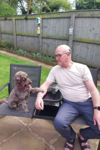 Illustration de l'article : Sans l’intervention de sa chienne héroïque, ce maître n’aurait peut-être pas survécu à cette promenade malheureuse