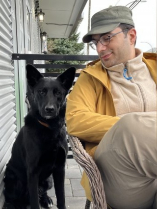 Illustration de l'article : Les automobilistes et les passants se mobilisent pour venir en aide à un chien renversé par une voiture 