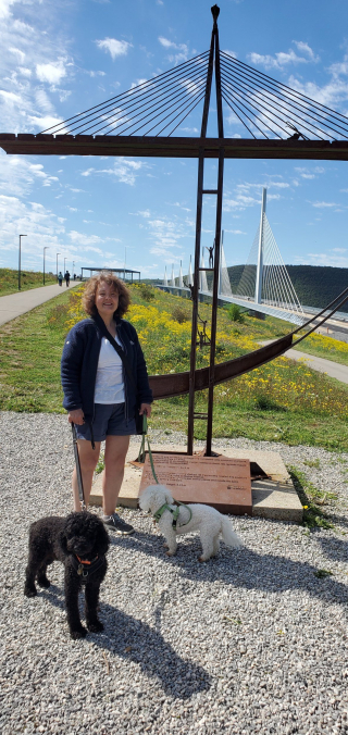 Illustration de l'article : L’histoire inspirante de Jack, un petit Caniche sauvé d’un élevage illégal, qui croque maintenant la vie à pleines dents