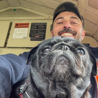 Illustration de l'article : Un conducteur de train décide d’arrêter les wagons pour sauver un Carlin perdu 