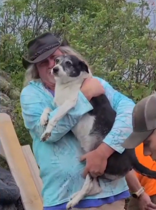 Illustration de l'article : Des randonneurs et secouristes s'unissent pour libérer une chienne prisonnière des rochers