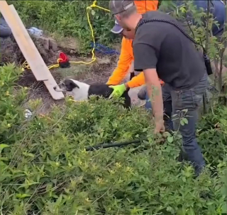 Illustration de l'article : Des randonneurs et secouristes s'unissent pour libérer une chienne prisonnière des rochers