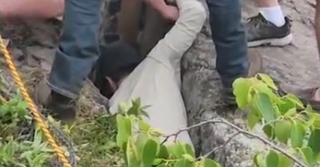 Illustration de l'article : Des randonneurs et secouristes s'unissent pour libérer une chienne prisonnière des rochers