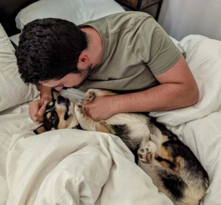 Illustration de l'article : 14 chiens ayant réussi à convertir les parents les plus réticents à l'idée d'adopter