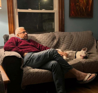 Illustration de l'article : 14 chiens ayant réussi à convertir les parents les plus réticents à l'idée d'adopter