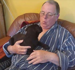 Illustration de l'article : 14 chiens ayant réussi à convertir les parents les plus réticents à l'idée d'adopter