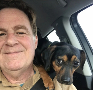 Illustration de l'article : 14 chiens ayant réussi à convertir les parents les plus réticents à l'idée d'adopter