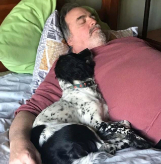 Illustration de l'article : 14 chiens ayant réussi à convertir les parents les plus réticents à l'idée d'adopter